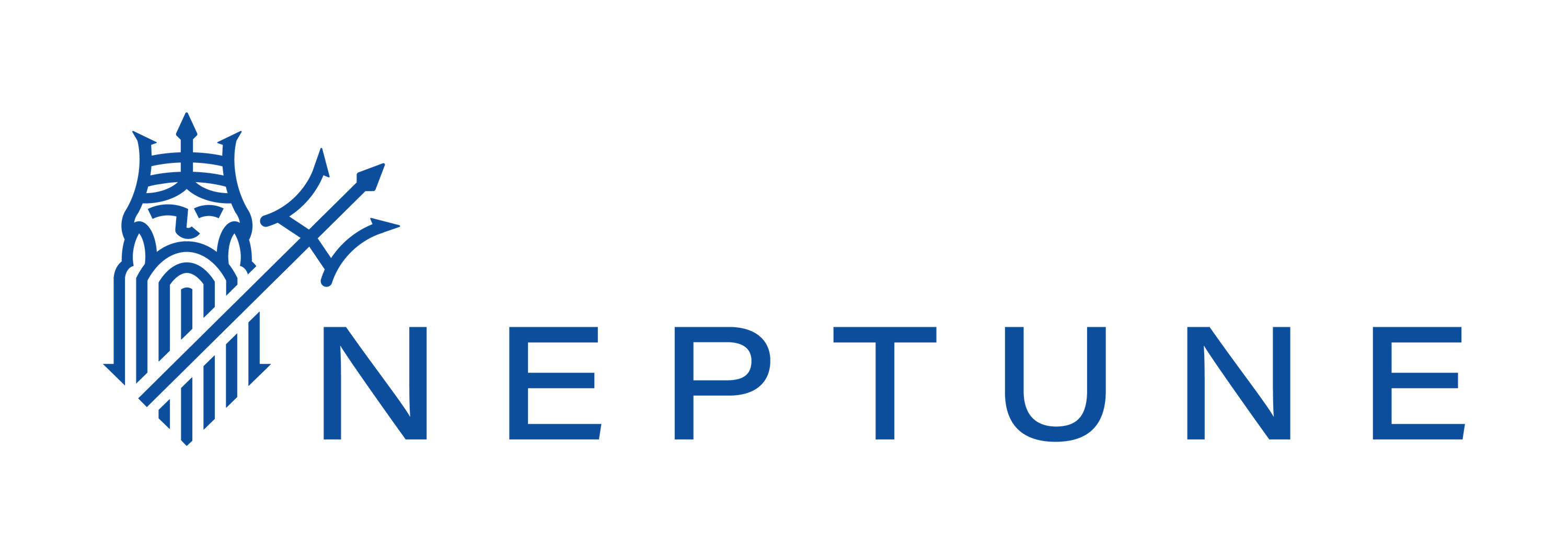 Neptune Flood logo